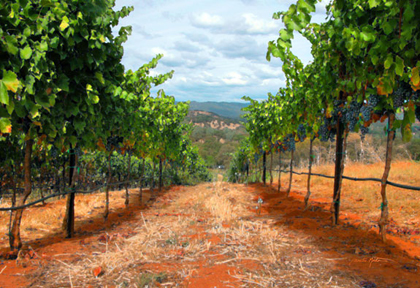 "On the Vine" by Julie & Craig Morton