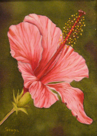 "Pink Hibiscus" by Ron Souza