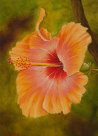 "Yellow Orange Hibiscus" by Ron Souza